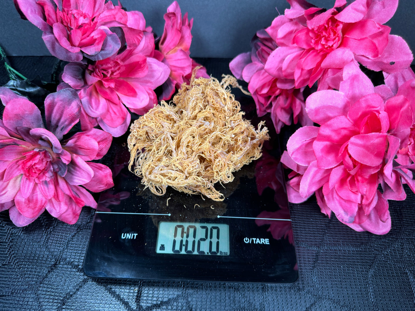 Celf Love Organics Authentic raw Sea Moss Weighed!